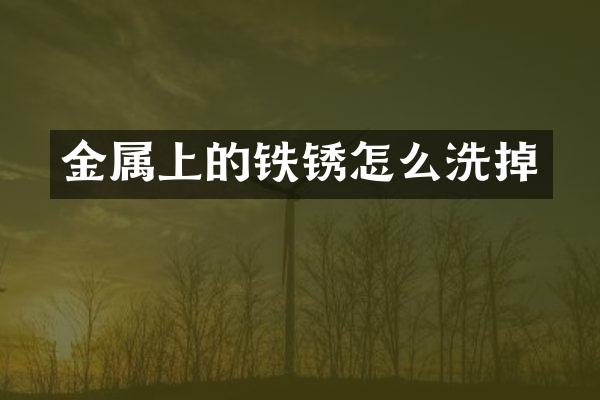 金属上的铁锈怎么洗掉