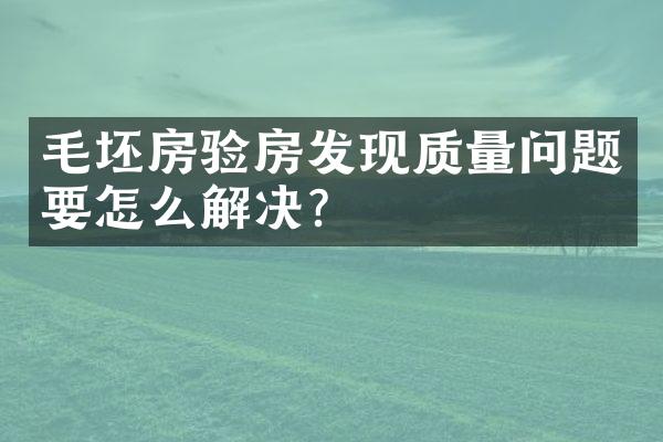 毛坯房验房发现质量问题要怎么解决?