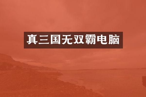 真三国无双霸电脑