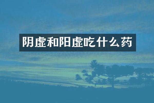 阴虚和阳虚吃什么药