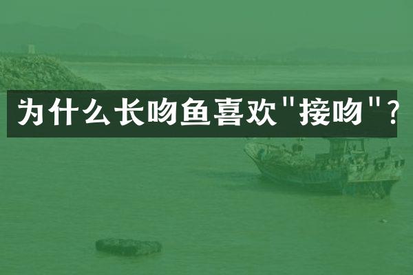 为什么长吻鱼喜欢"接吻"?