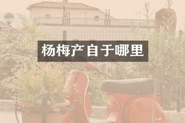 杨梅产自于哪里