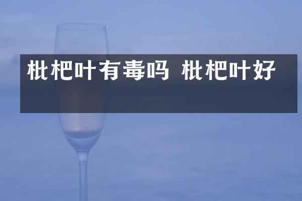 枇杷叶有毒吗 枇杷叶好吗