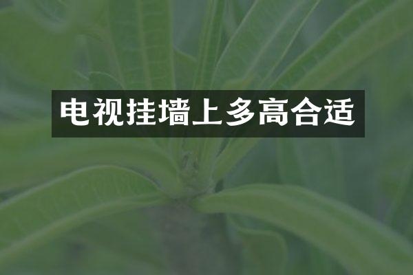 电视挂墙上多高合适
