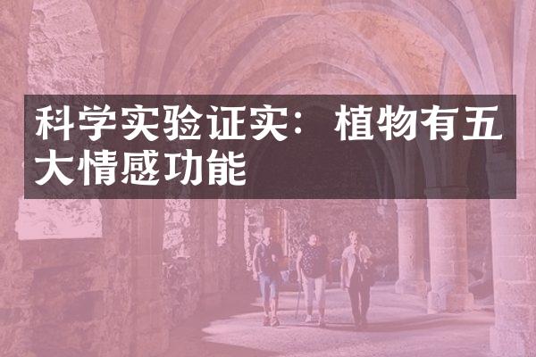 科学实验证实：植物有五大情感功能