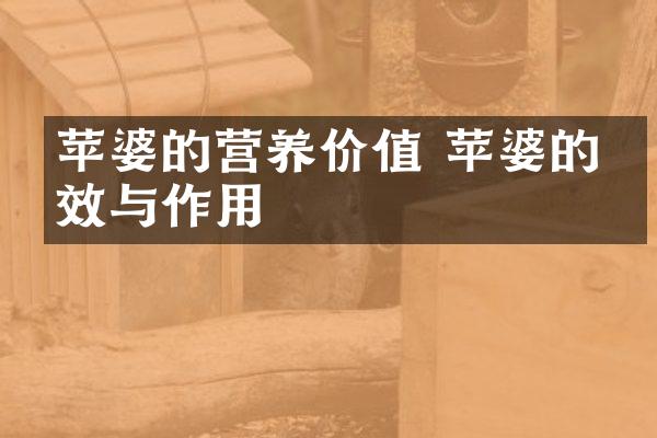 苹婆的营养价值 苹婆的功效与作用