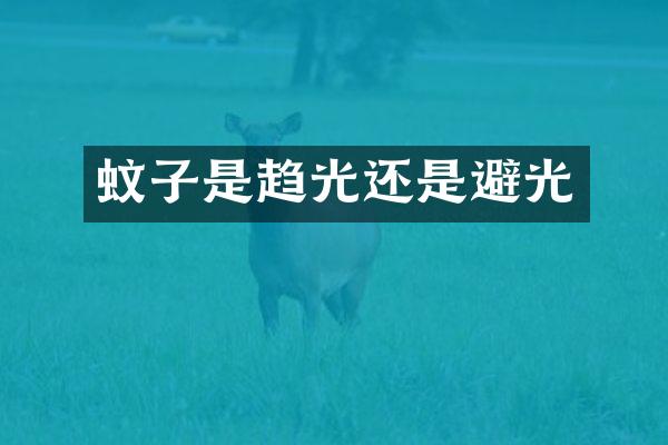 蚊子是趋光还是避光