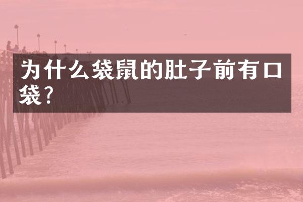 为什么袋鼠的肚子前有口袋?