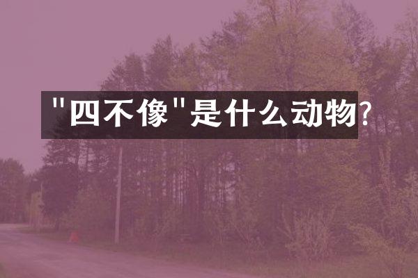 "四不像"是什么动物?