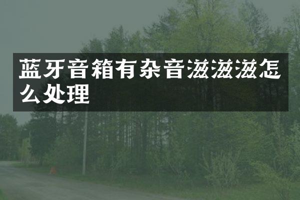 蓝牙音箱有杂音滋滋滋怎么处理