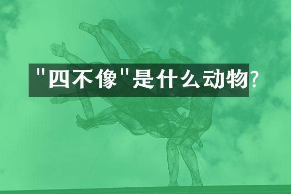 "四不像"是什么动物?