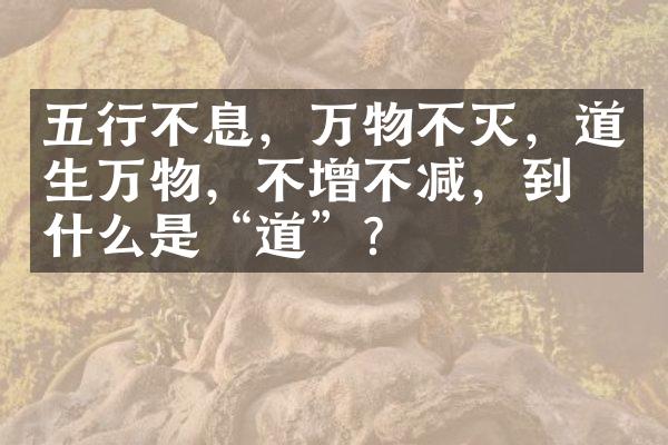五行不息，万物不灭，道生万物，不增不减，到底什么是“道”？