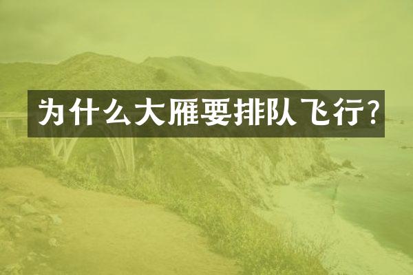 为什么大雁要排队飞行?