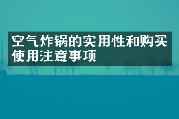 空气炸锅的实用性和购买使用注意事项