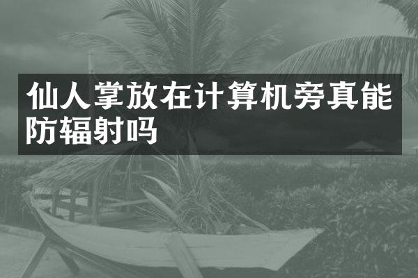 仙人掌放在计算机旁真能防辐射吗