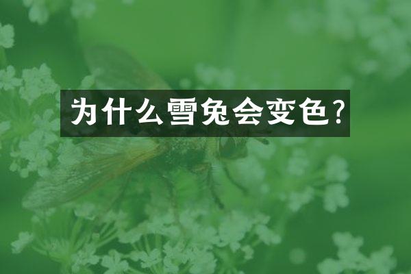 为什么雪兔会变色?