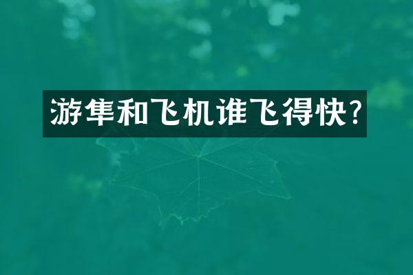 游隼和飞机谁飞得快?
