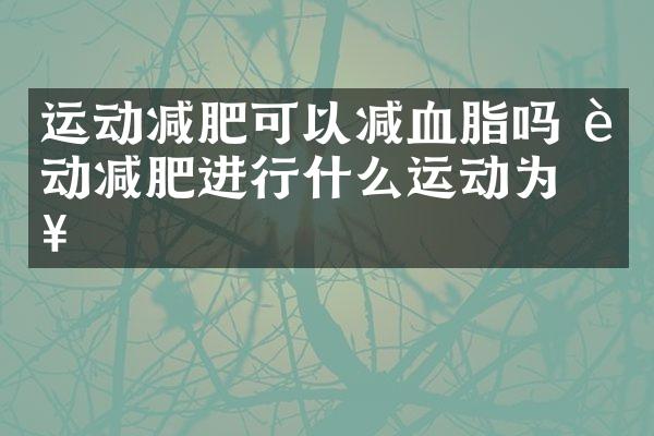 运动减肥可以减血脂吗 运动减肥进行什么运动为好