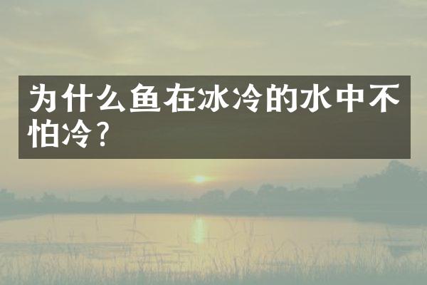 为什么鱼在冰冷的水中不怕冷？