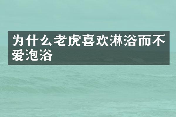 为什么老虎喜欢淋浴而不爱泡浴