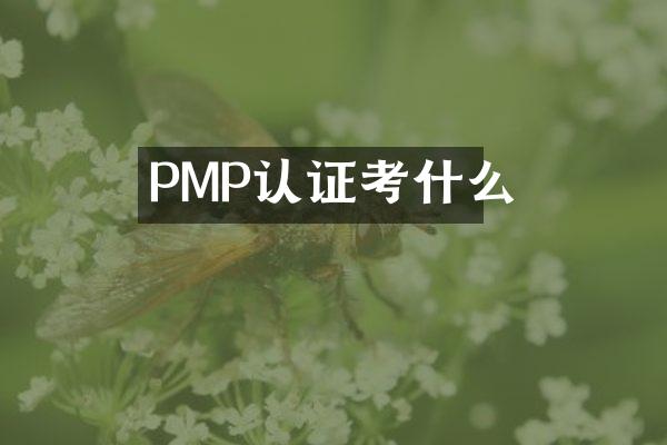 PMP认证考什么