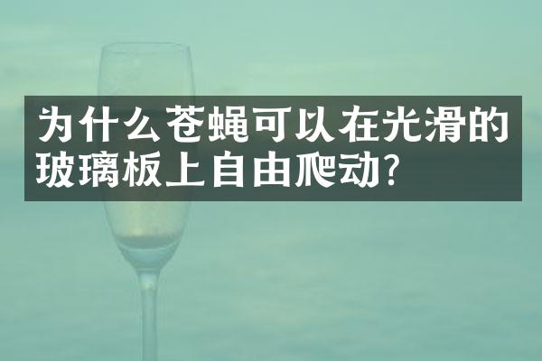 为什么苍蝇可以在光滑的玻璃板上自由爬动？