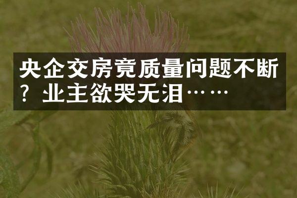 央企交房竟质量问题不断？业主欲哭无泪……