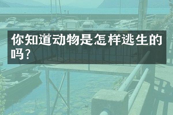你知道动物是怎样逃生的吗？