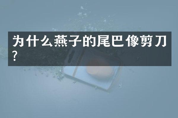 为什么燕子的尾巴像剪刀?