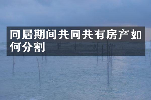 同居期间共同共有房产如何分割