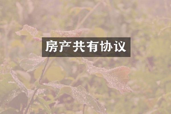 房产共有协议