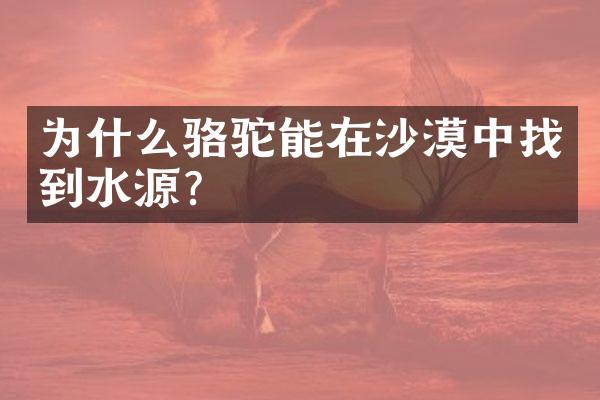 为什么骆驼能在沙漠中找到水源？
