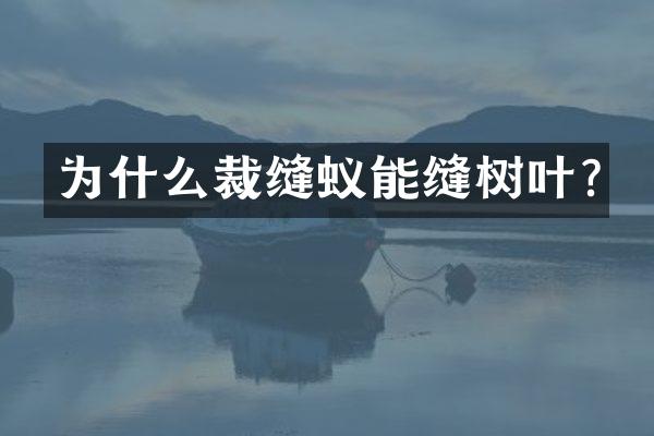 为什么裁缝蚁能缝树叶?