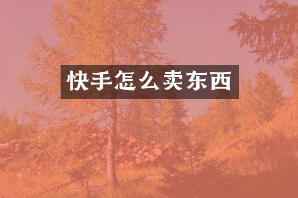 快手怎么卖东西