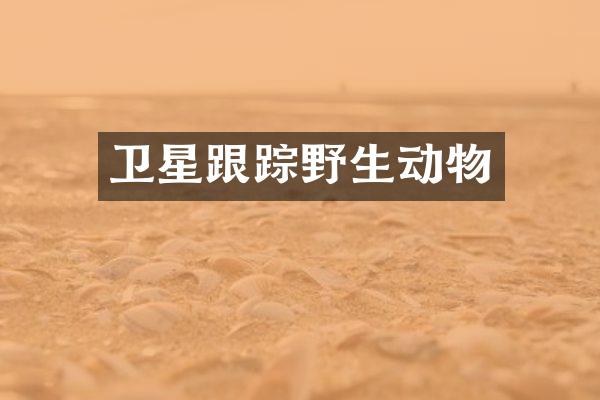 卫星跟踪野生动物
