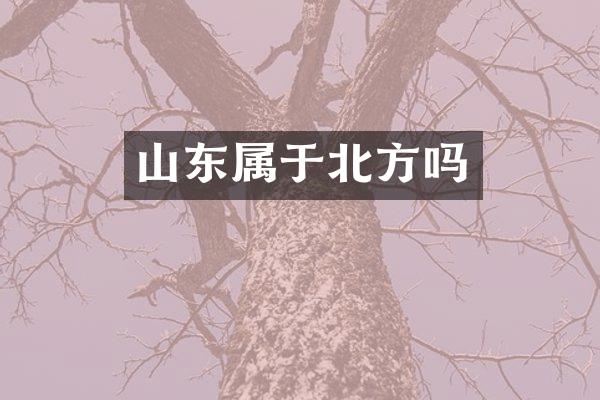 山东属于北方吗