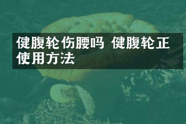 健腹轮伤腰吗 健腹轮正确使用方法