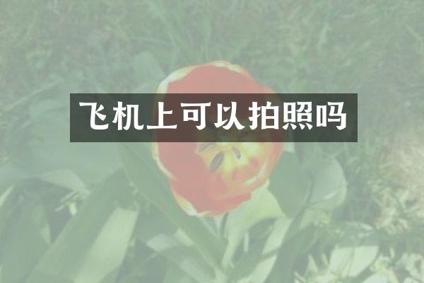 飞机上可以拍照吗