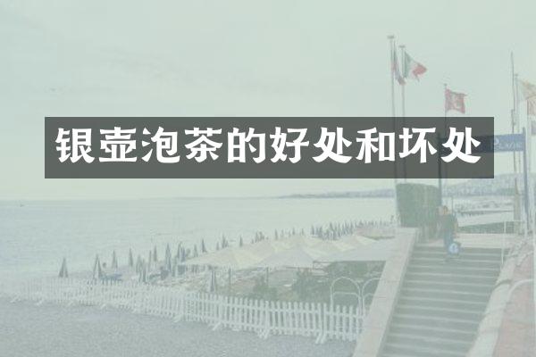 银壶泡茶的好处和坏处