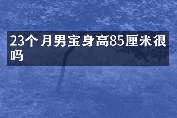 23个月男宝身高85厘米很矮吗