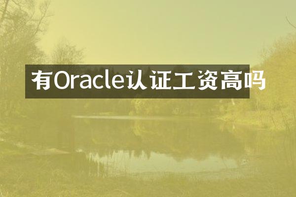 有Oracle认证工资高吗