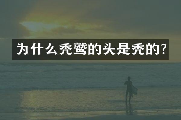 为什么秃鹫的头是秃的?