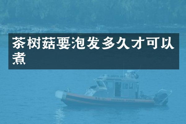 茶树菇要泡发多久才可以煮