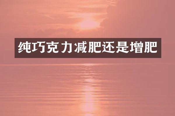 纯巧克力减肥还是增肥