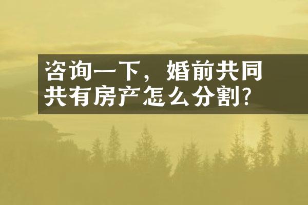 ﻿﻿咨询一下，婚前共同共有房产怎么分割？
