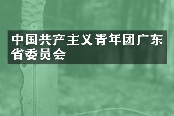 中国共产主义青年团广东省委员会