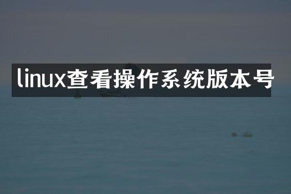 linux查看操作系统版本号