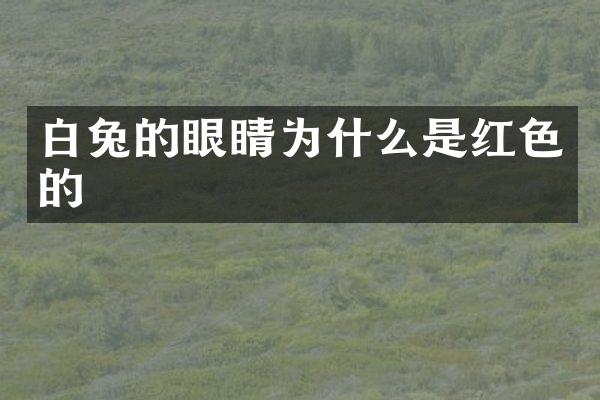 白兔的眼睛为什么是红色的