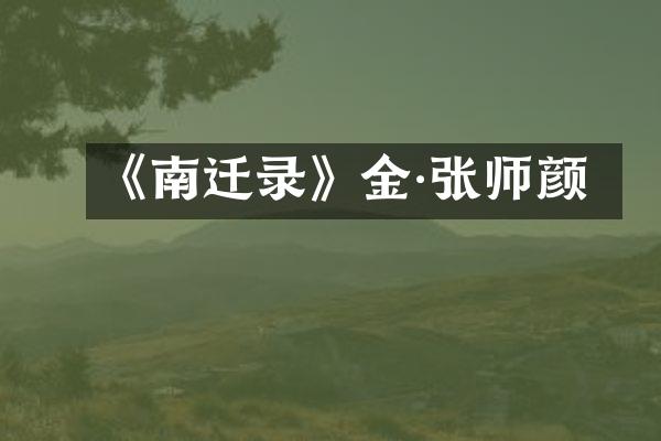 《南迁录》金·张师颜