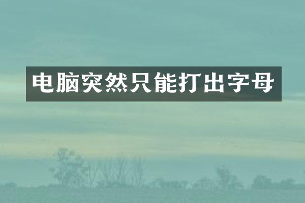电脑突然只能打出字母